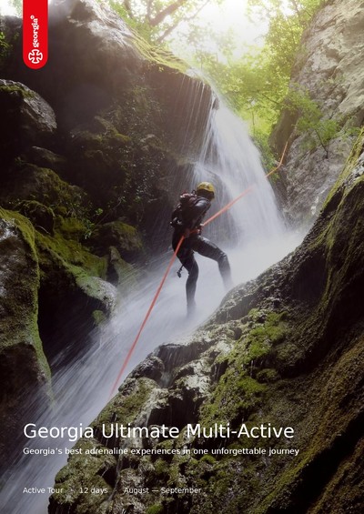 Georgia Ultimate Multi-Active Brochure