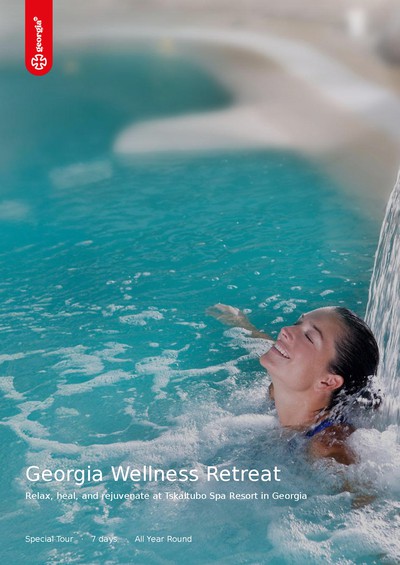 Georgia Wellness Retreat Brochure