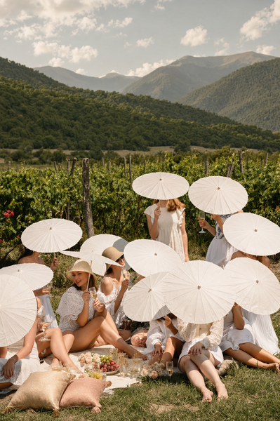 Bridal party picnic in a vineyard