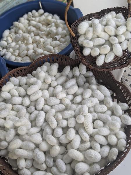 Felted Scarf Masterclass. Изображение предоставлено: &copy; ირიათონი