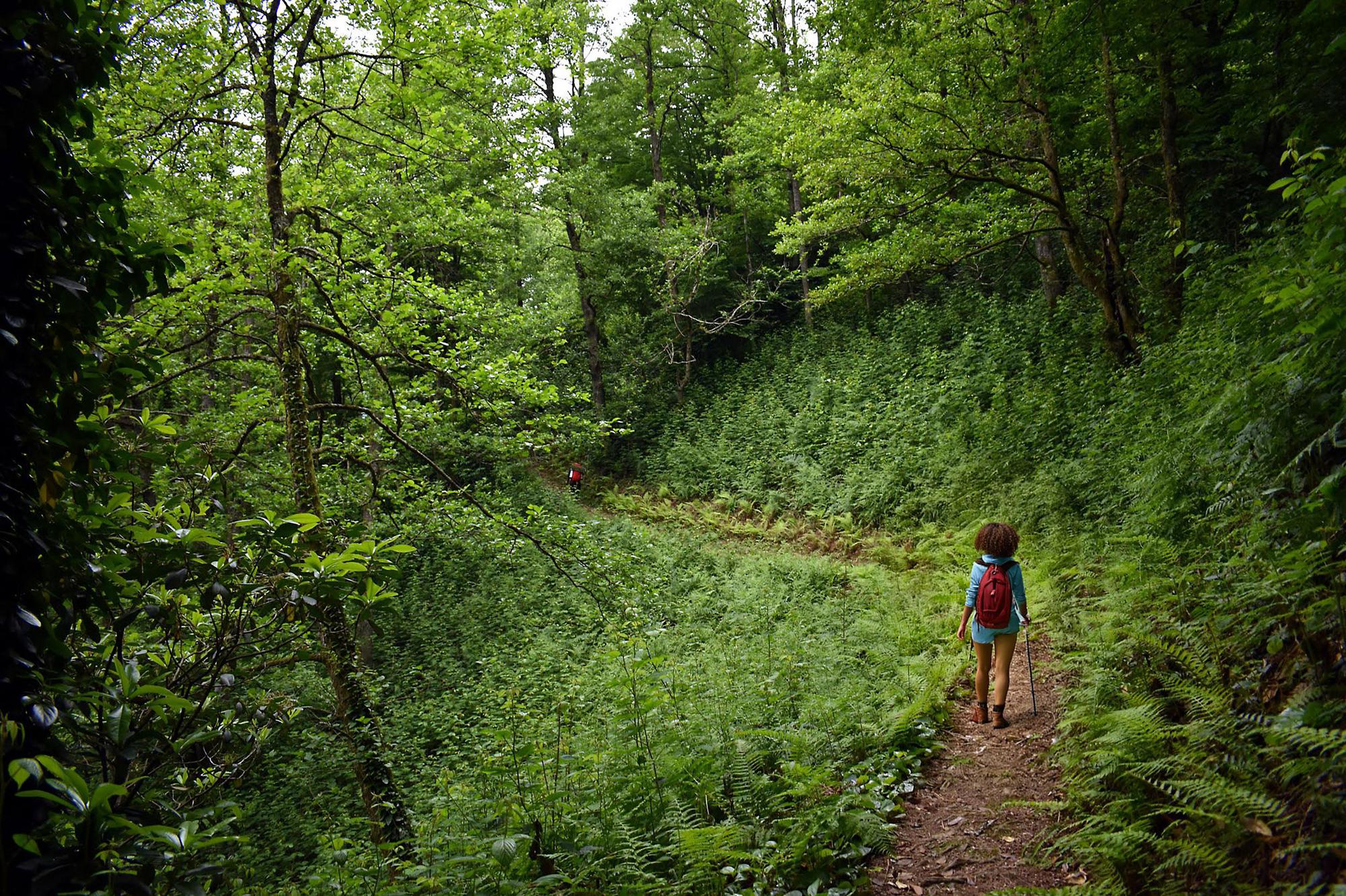 تسلق قمة متيرالا