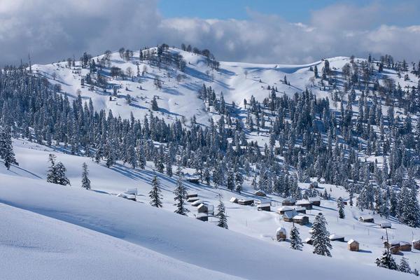 Snow-covered mountain village in Goderdzi, Adjara, Georgia