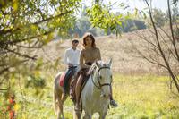 Photo of the Day 2: Nature, Freedom & Forest Serenity