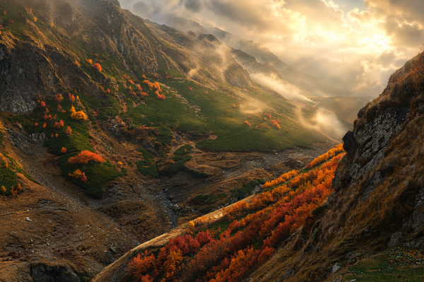 Golden Automn in Tusheti