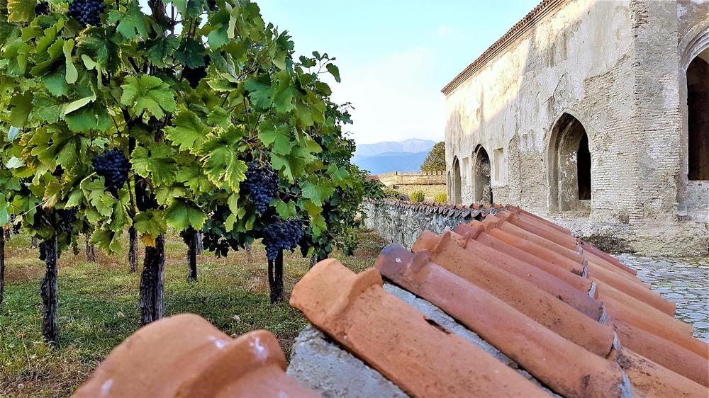 预订 Kakheti Wine Heritage Tour