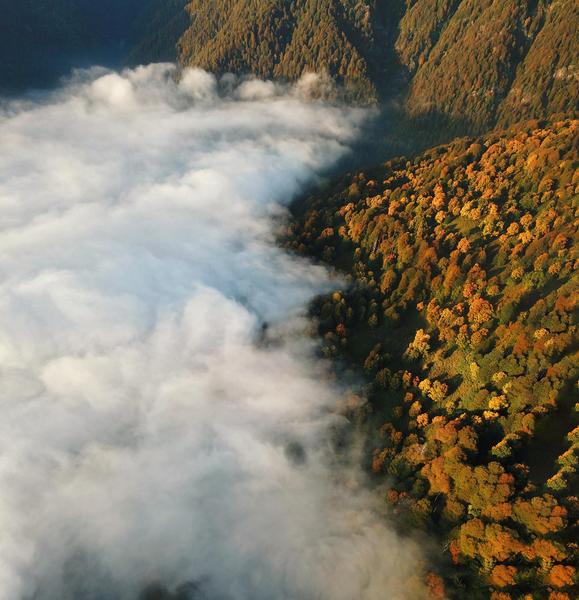 Aree Protette di Lagodekhi dall'Alto